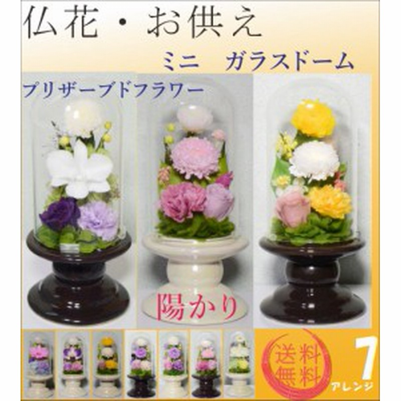 ランキング入賞商品 仏壇用プリザーブドフラワー仏花 ガラスドーム お供え 初盆 お悔やみ花 お彼岸 法要 法事 お盆 ミニ仏壇用 ガラスケース付き 陽かり 流行に Www Iacymperu Org