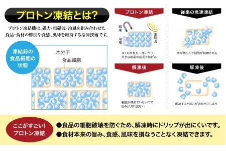 道水 ボイルベビーホタテ(生食用)２kg（１kg×2袋） プロトン凍結[24894356]