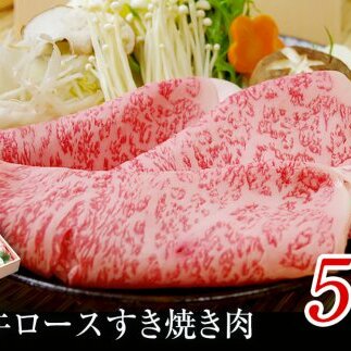 特選！黒毛和牛 氷見牛ロース すき焼き用 500g 心も体も満たす、極上のすき焼きをお楽しみください！｜ 国産 黒毛和牛 すきやき 特選 すき焼き 牛肉 ロース すきやき すき焼き