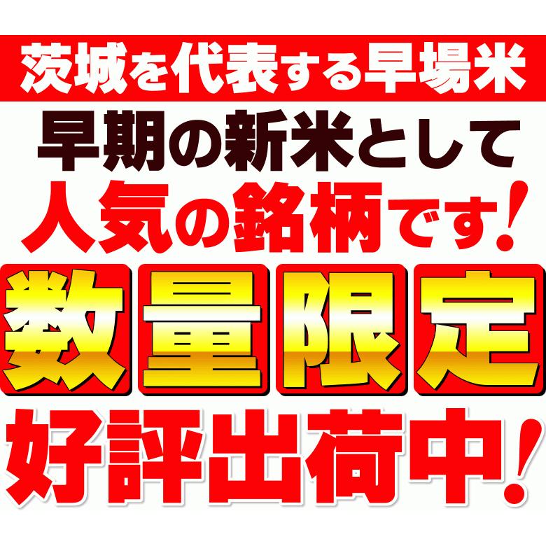 新米 米 お米 あきたこまち 茨城県産 5年産 白米 5kg 送料無料 一部地域除く