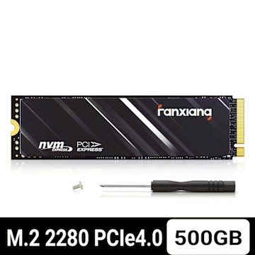 FANXIANG梵想 SSD固態硬碟 M.2 2280 PCIe4.0讀速5000MB/s寫速2650MB/s支援PS5-SP610-500GB