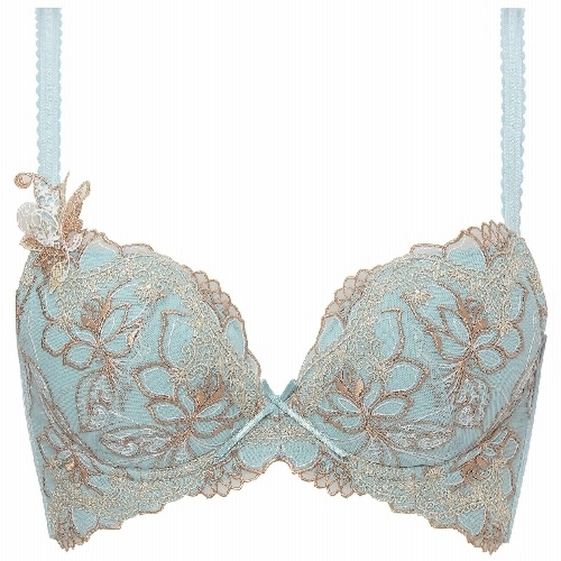 トリンプ インターナショナル ジャパン レディース トリンププレミアム レッドレーベル 0081 ブラジャー シルバーブルー E70 通販 Lineポイント最大get Lineショッピング