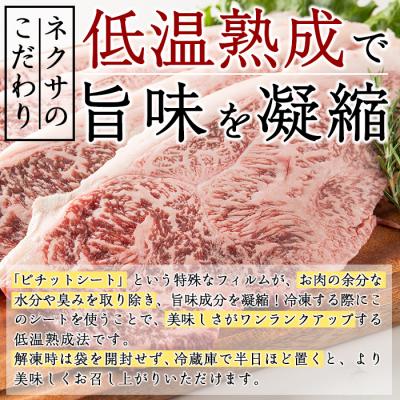 ふるさと納税 佐伯市 おおいた和牛 サーロインステーキ (計400g)