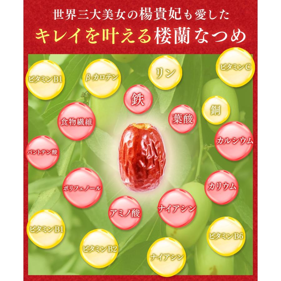 なつめ ナトゥリー 楼蘭なつめチップス 200g ナツメ ドライフルーツ 棗 なつめチップス