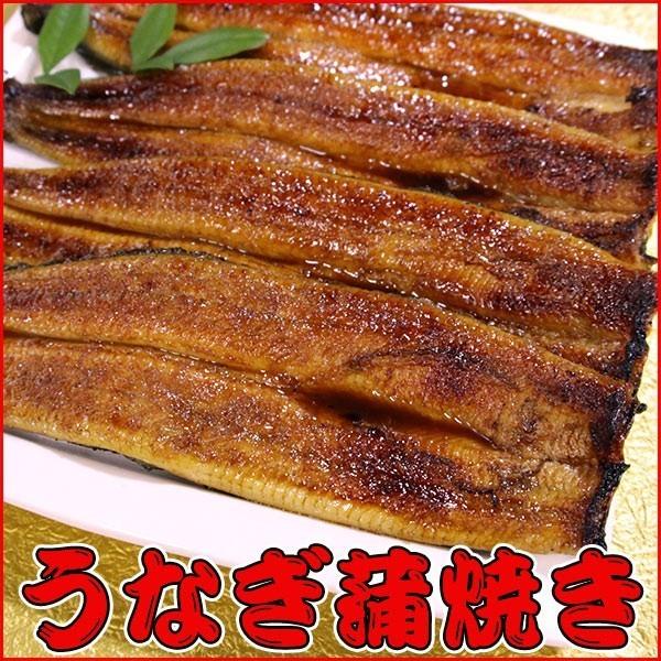 うなぎ蒲焼き 4本セット　鰻