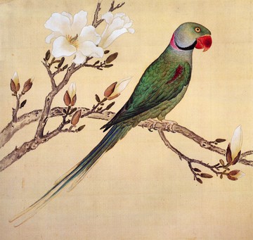故宮鳥譜037柳綠鸚哥仿古畫復制名人字畫名家書畫29X32花鳥畫小品
