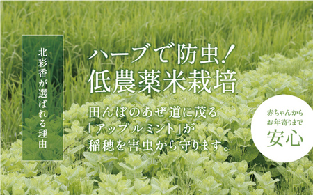 令和５年産 妹背牛産玄米60kｇ（一括）（1月発送）