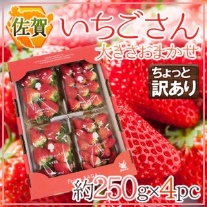 佐賀 ”いちごさん” ちょっと訳あり 約250g×4パック 大きさおまかせ 送料無料