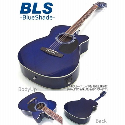 エレアコ アコギ Legend FG-15CE レジェンド 初心者 入門 13点