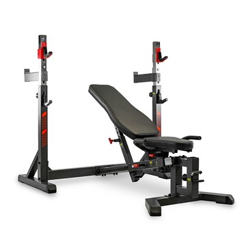 BH G510 Olympic Rack 握推/蹲舉訓練機 核心訓練