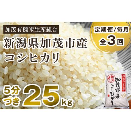 ふるさと納税 新潟県加茂市産 特別栽培米コシヒカリ 精米 25kg（5kg×5） 従来品種コシヒカリ 加茂有.. 新潟県加茂市