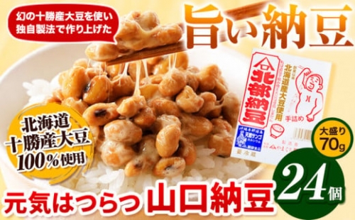 元気はつらつ山口納豆!!(70g24個入り) 有限会社やまぐち醗酵食品 《60日以内に順次出荷(土日祝除く)》 北海道 本別町 国産納豆 山口納豆 朝食 納豆 健康 24個 お取り寄せ ご飯のお供 送料無料