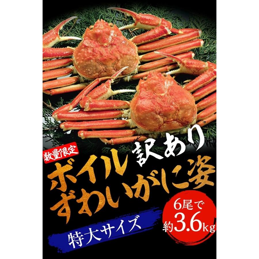 訳あり ボイル ズワイガニ 姿 特大 6尾 約3.6kg ズワイガニ ギフト お歳暮 かに カニ 蟹