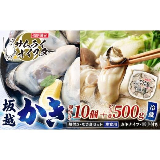 ふるさと納税 兵庫県 赤穂市 牡蠣 生食 坂越かき むき身 500g×1、 殻付き 10個(牡蠣ナイフ・軍手付き)サムライオイスター …