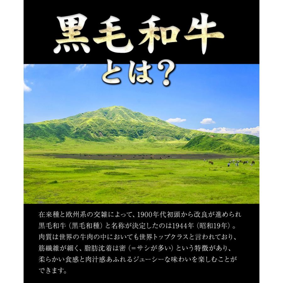 セット購入で1500円OFF 黒毛和牛 霜降り ロース スライス 九州産 クラシタ 500g 肉 牛肉 送料無料 肩ロース 国産 7-14営業以内発送予定(土日祝除く)