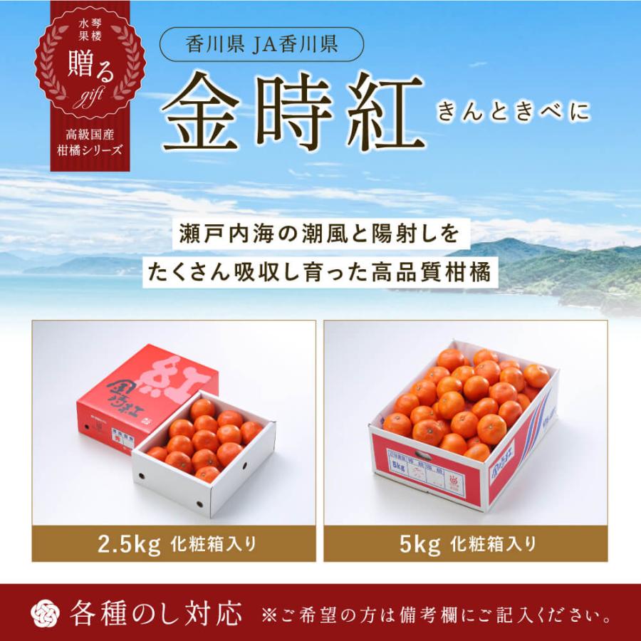 (12月上旬頃より発送) 香川県産 金時紅みかん 秀品 L〜2Lサイズ 5kg 化粧箱入り みかん 香川 フルーツ お歳暮 ギフト