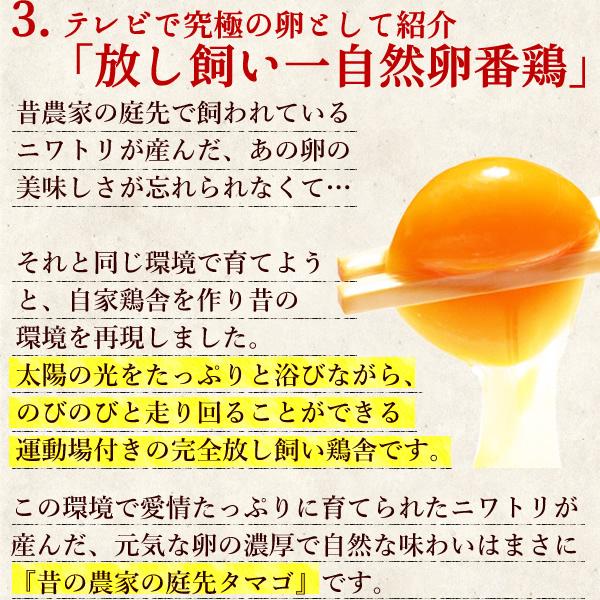 お鍋セット 鶏すき焼き 鍋セット 野菜、玉子付き ［3-4名様用］ 送料無料 ※冷蔵 限定配送