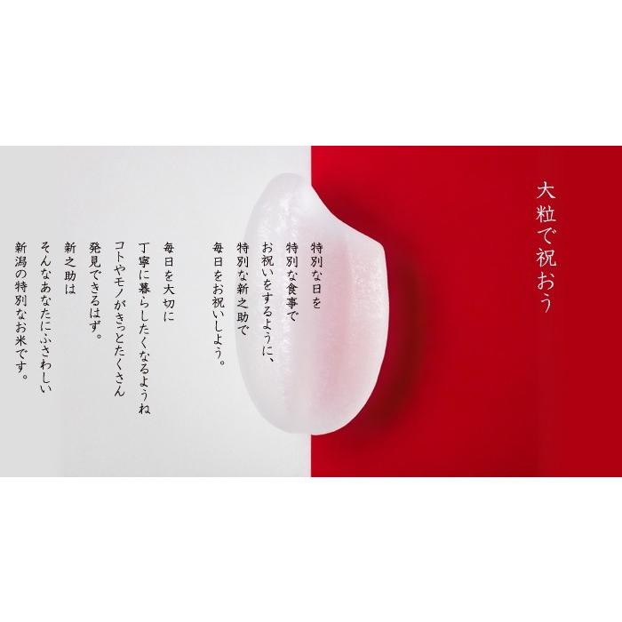 令和4年産 新潟米 新之助 5kg 新潟県産  お米 米 白米 ご飯 ライス お米 大粒 甘味 美味しいお米 稲