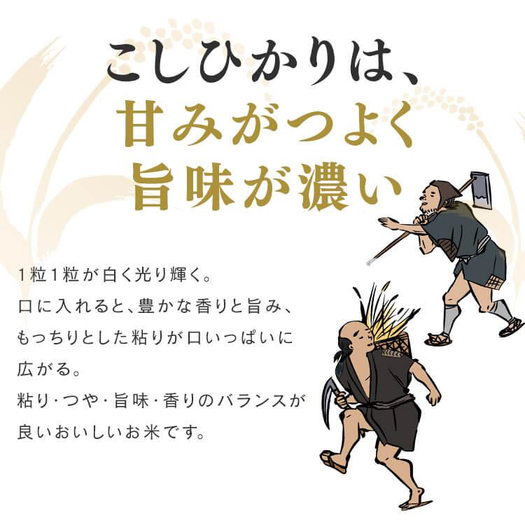 無洗米 8kg 送料無料 新潟県産こしひかり 令和5年度産 生鮮米 こしひかり 低温製法米 お米 白米 一人暮らし アイリスオーヤマ