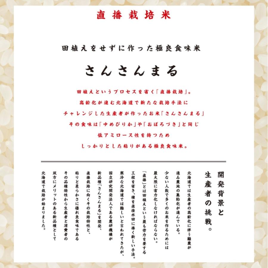 新米 米 お米 さんさんまる 北海道産 5kg 令和5年産