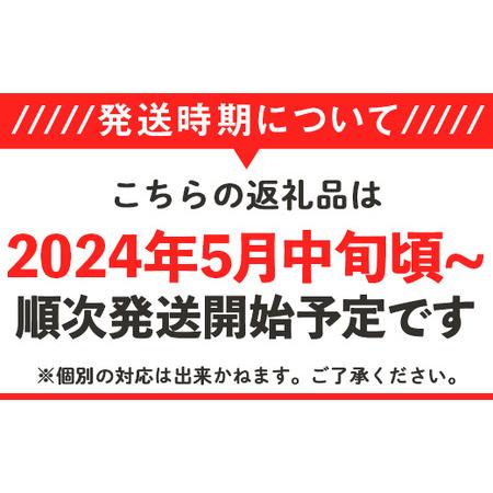 ふるさと納税 12-22茨城県産２色のタカミメロン約2kg（2個） 茨城県下妻市