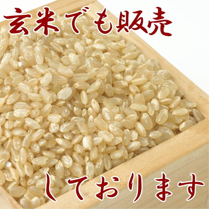 令和５年 お米 送料無料 ひとめぼれ 白米 5kg 岩手県産 あすつく  安い 美味しい