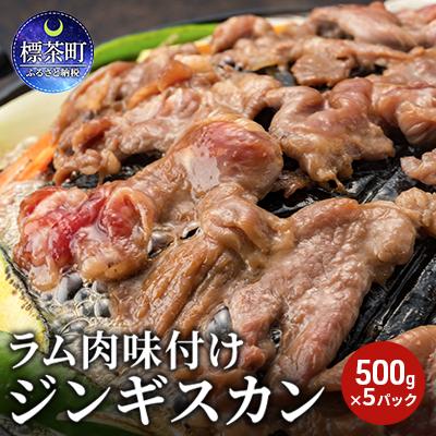 ふるさと納税 標茶町 ラム肉 味付け ジンギスカン 500g×5パック