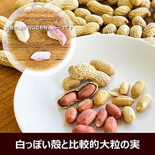 千葉県産 からつき 落花生 国産 400g 中手豊 ナカテユタカ 八街 やちまた ピーナッツ ピーナツ