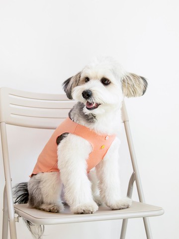 Wave T-shirt Apparel [Neon Orange]