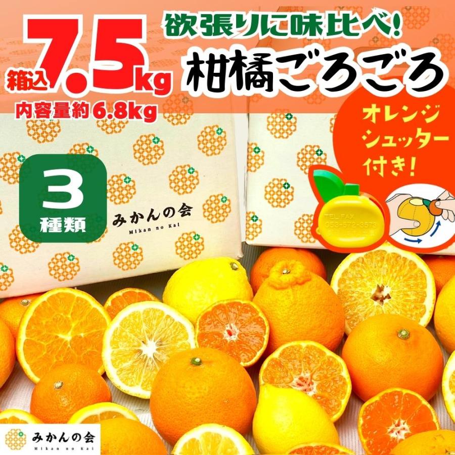 柑橘ごろごろ 3種 箱込 7.5kg(内容量 6.8kg) 秀品 優品 混合 和歌山県産 産地直送 