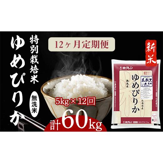 ふるさと納税 北海道 奈井江町 日経トレンディ「米のヒット甲子園」大賞受賞「特栽米ゆめぴりか無洗米5kg」定期便！毎月1回・計12回お届け