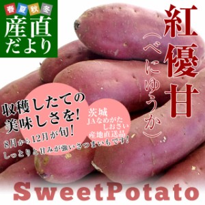 茨城県より産地直送 JAなめがたしおさい さつまいも「紅優甘 (べにゆうか)」 Sサイズ 5キロ(25本から30本) 送料無料 さつま芋 サツマイモ