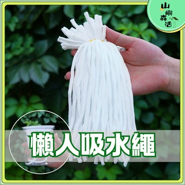 吸水棉繩 懶人吸水繩 懶人花盆專用 水培自動吸水繩 滌棉吸水繩 花盆棉線 澆花吸水繩