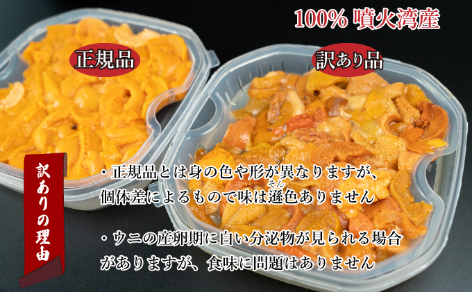 訳あり 北海道 噴火湾産 塩水 バフンウニ 100g 3パック 計300g うに ウニ 雲丹 海鮮 海の幸 魚介類 ウニ丼 お寿司 濃厚 無添加 産地直送 お取り寄せ 山村水産 送料無料