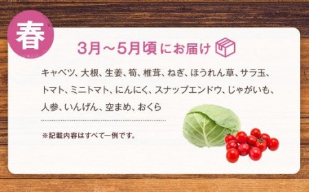 八代市産 旬の農産物詰合せ 復興 福袋 8品以上 野菜 果物 東陽地区