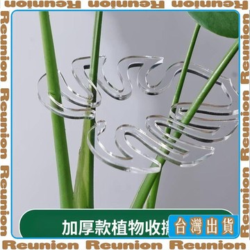 龜背竹支撐杆 花支撐架 枝幹收攏架植物 防倒 伏支架 龜背竹花支架杆 可開發票✔Reunion🏠臺灣出貨🏠