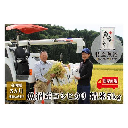 ふるさと納税 農家直送！ 魚沼産 コシヒカリ 精米 5kg 3ヶ月 連続お届け（ 米 定期便 こしひかり お米 こめ コメ 魚沼産コシヒカリ 魚沼 新潟 魚.. 新潟県魚沼市