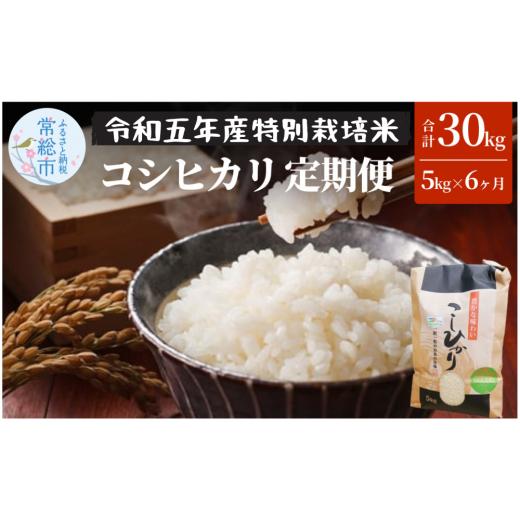 ふるさと納税 茨城県 常総市 定期便6ヶ月お届け 令和五年産特別栽培米 コシヒカリ 5kg 定期便 お米 コシヒカリ