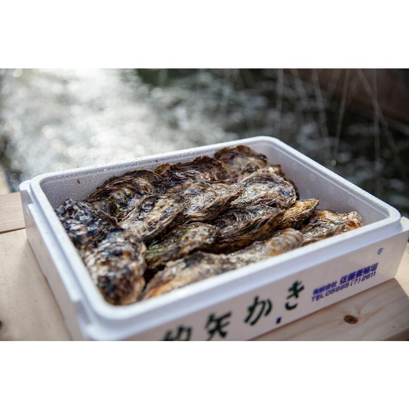 清浄 生食用 的矢かき 15個 送料無料 まとやかき 佐藤養殖場 三重 カキ 牡蠣 オイスター 魚介 産地直送 シーフード おつまみ お取り寄せ 贈答 ギフト 御祝