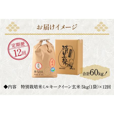 ふるさと納税 《定期便》5kg×12回 60kg 特別栽培米 ミルキークイーン 玄米 低農薬 《食味値85点以上！こだわり極上玄米.. 福井県あわら市