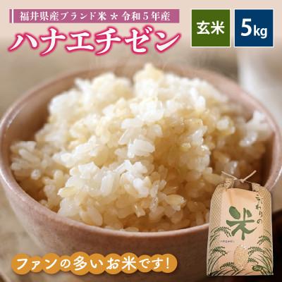 ふるさと納税 越前町 令和5年産　ハナエチゼン(玄米)　5kg