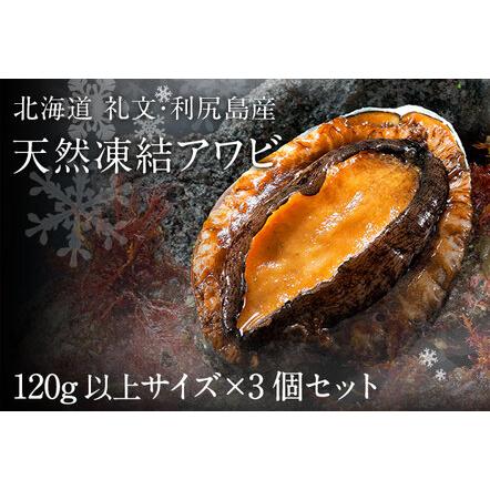 ふるさと納税 礼文島産　凍結島アワビ 120g以上 3個 北海道礼文町