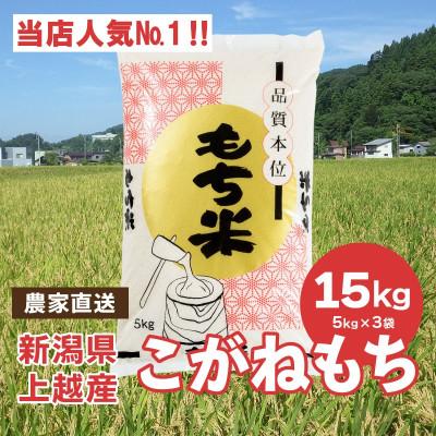 ふるさと納税 上越市 ブランドもち米「こがねもち」令和5年産 新潟県産 