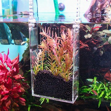 沃韋朗隔離盒繁殖盒孔雀魚繁殖保護小魚亞克力透明隔孵化盒孵化器