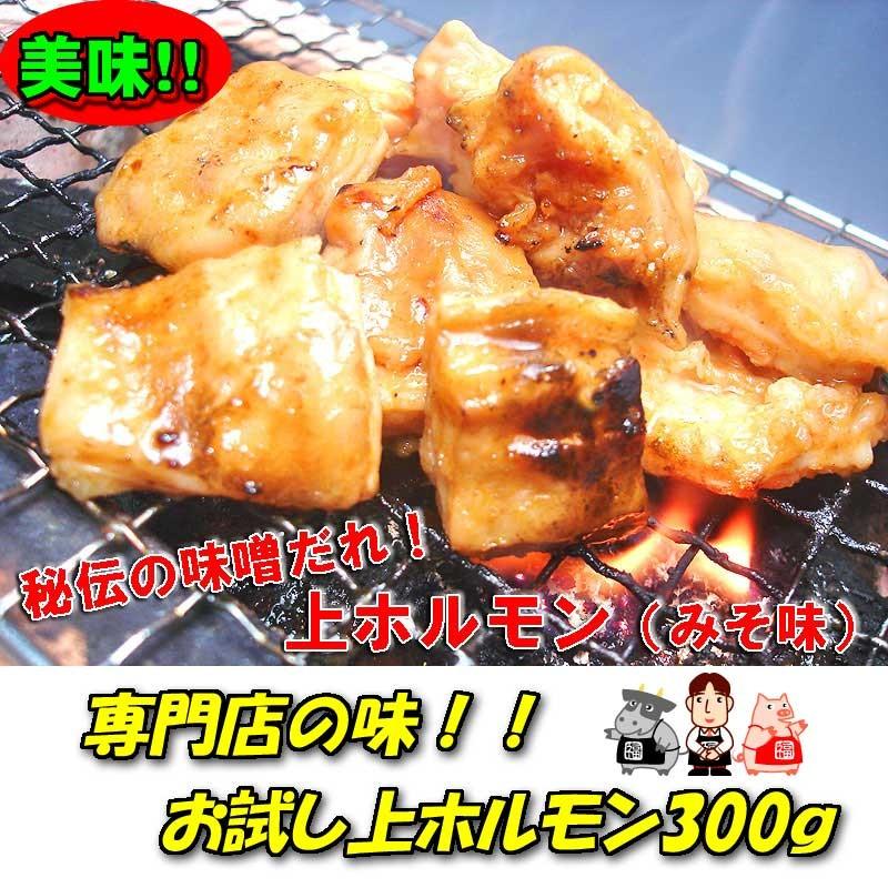 激旨！お試し上ホルモン300ｇ（味噌だれ・つけだれ付き）