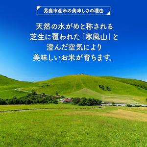 令和5年産 あきたこまち 無洗米 5kgｘ4袋『こまち娘』吉運商店 秋田県 男鹿市