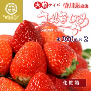 [予約 2024年1月5日-1月30日の納品] さぬきひめ 約300g×2 2L3L 香川県産ほか 高品位 いちご