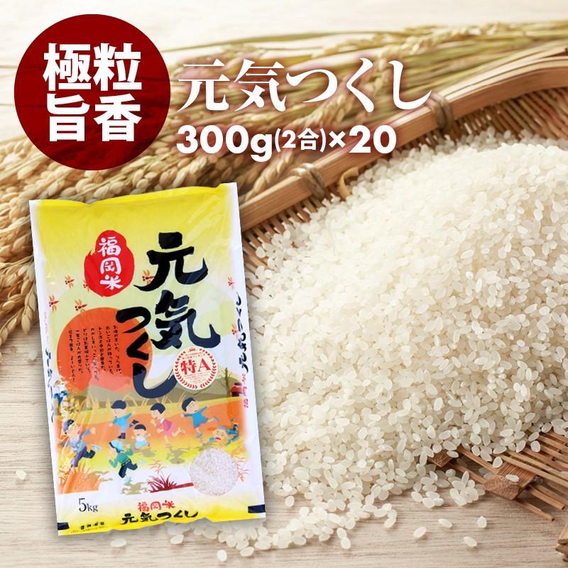 無洗米 プロが選ぶ 一等米 米 食味ランク 特A 元気つくし  2合 (300g) 20パック 精米 福岡県産