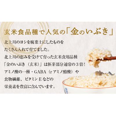 ふるさと納税 石巻市 令和5年産 金のいぶき (玄米)5kg