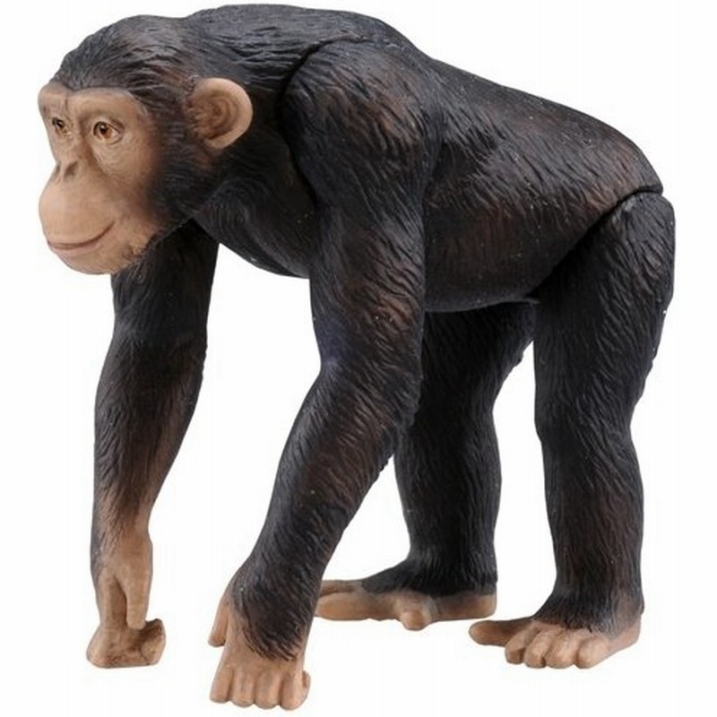 アニア As 14 チンパンジー おもちゃ こども 子供 男の子 3歳 通販 Lineポイント最大0 5 Get Lineショッピング